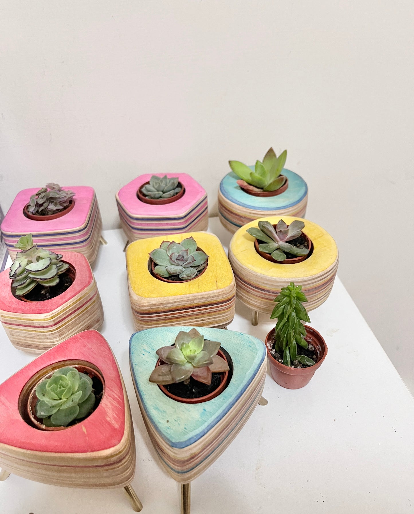 Succulent Pots 多肉植物小盆器